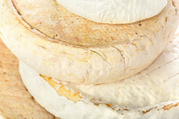 mix cheese close up