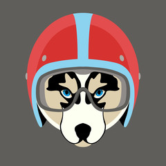 dog face in motorcycle helmet vector illustration flat s