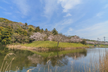 春の佐倉の田園風景