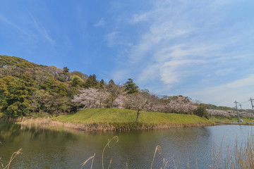 春の佐倉の田園風景