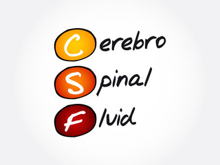 CSF - cerebrospinal fluid acronym, concept background