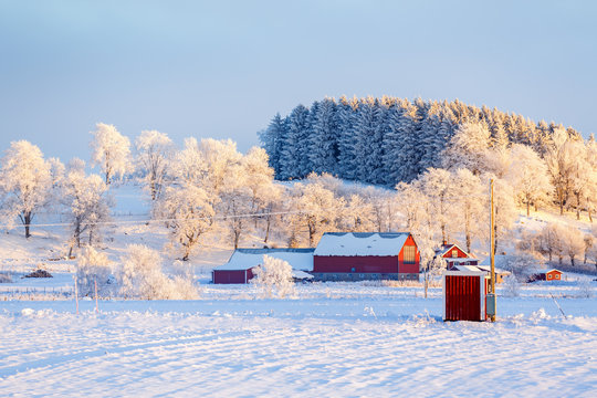 Farm in the countryside in a wintry landscape