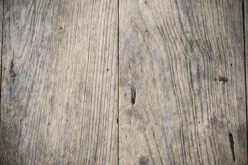 Close up of wood texture