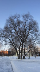 PERM WINTER IN RAZGULYAI