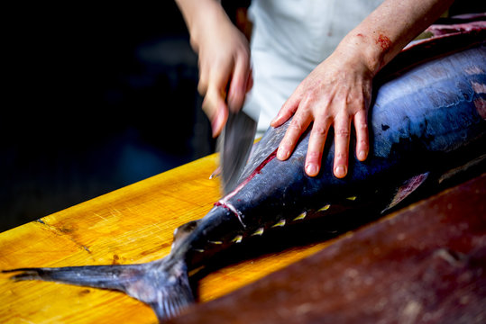 マグロ解体 の画像 346 件の Stock 写真 ベクターおよびビデオ Adobe Stock