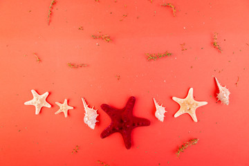 Red starfish background. Summer vacation concept. Flat lay.