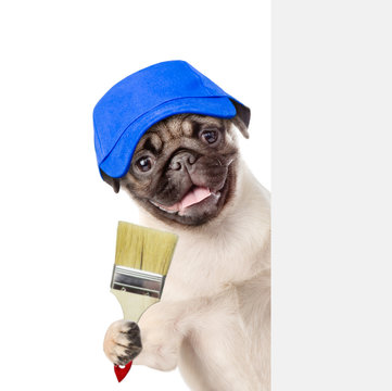 Funny dog in blue hat with paint brush behind white banner. isolated on white background