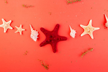 Red starfish background. Summer vacation concept. Flat lay.