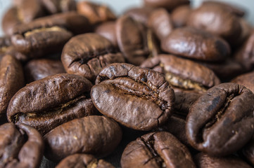 coffee beans closeup