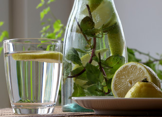 Zitronenwasser in Karaffe mit Glas mit Zitronenscheibe und Minze auf Tisch