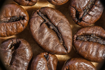 fried brown coffee grain, macro abstraction background