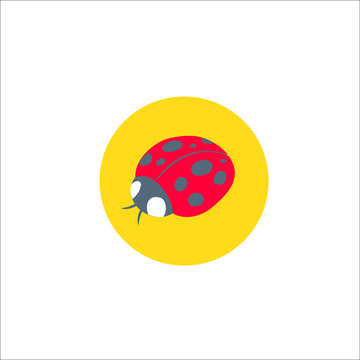 Ladybug icon. Vector Illustration