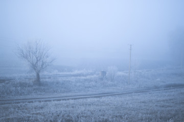 Frosty misty morning landscape in the village.