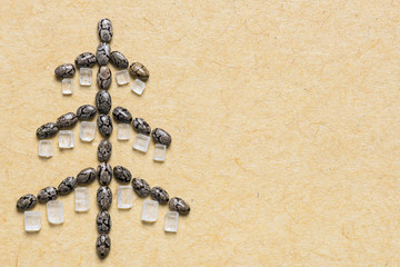 Chia seed Christmas tree with sugar crystal decoration