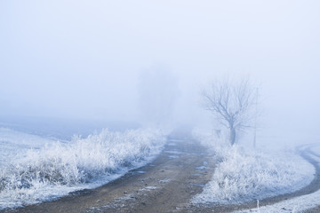 Obraz na płótnie Canvas Frosty misty morning landscape in the village.