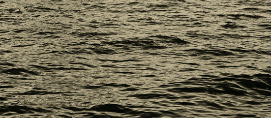 dark water / black background.  Sea wave 