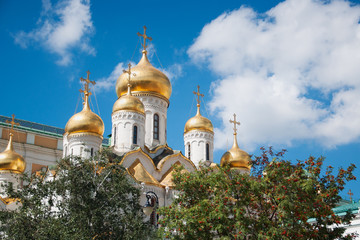 Fototapeta na wymiar Golden domes and crosses of the Annunciation Cathedral of the Orthodox Church, located on the Cathedral Square of the Moscow Kremlin with rowan and birch in the foreground