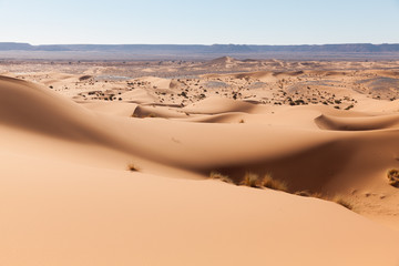 Fototapeta na wymiar Dunes de sable, Sahara