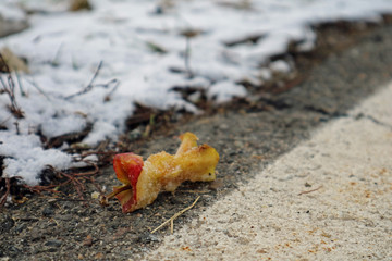 Apfelrest am Wegrand im Winter