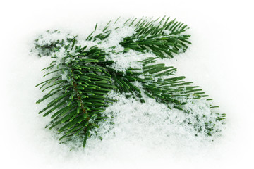 Tannenzweig im Schnee