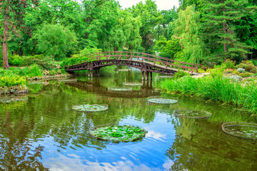 Fototapeta na wymiar View of beautiful garden with wooden walking bridge, green trees, bushes and blue sky, reflecting in a pond water. Summer natural landscape