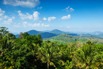 Obraz premium Tropical landscape with mountains
