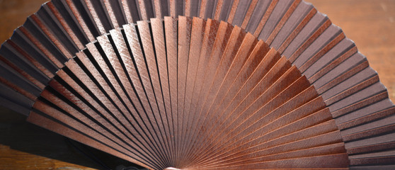 The fan for the seduction of oriental women