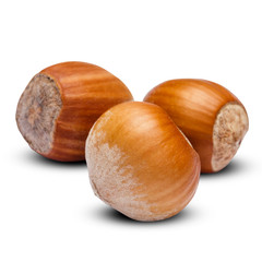 hazelnuts close-up isolated on white background. Clipping path
