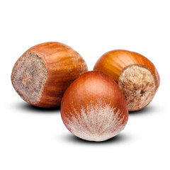 hazelnuts close-up isolated on white background. Clipping path
