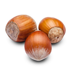 hazelnuts close-up isolated on white background. Clipping path