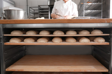 Raw loaves of bread on shelves in bakery