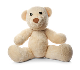 Cute teddy bear on white background