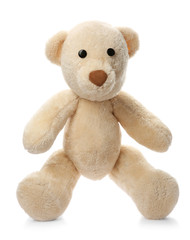 Cute teddy bear on white background