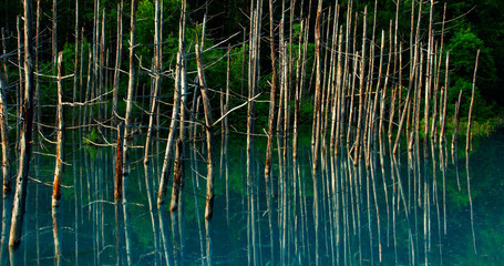 青い池 北海道