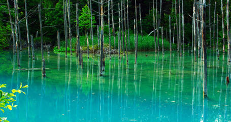青い池 北海道