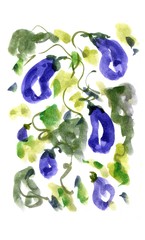 Eggplants. Hand drawn watercolor painting.