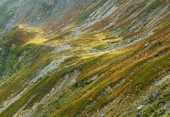 Alpine landscape in Tarcu Mountains, Carpathians, Romania, Europe