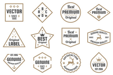 Vintage Retro Vector Logo for banner