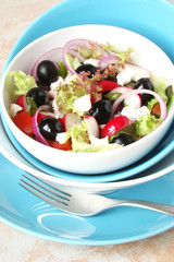 A salad of lettuce, olives, radishes, tomatoes, onions, cheese