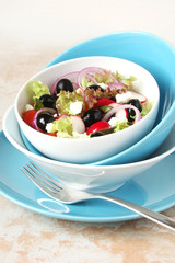 A salad of lettuce, olives, radishes, tomatoes, onions, cheese