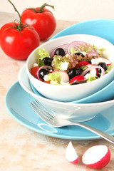 A salad of lettuce, olives, radishes, tomatoes, onions, cheese