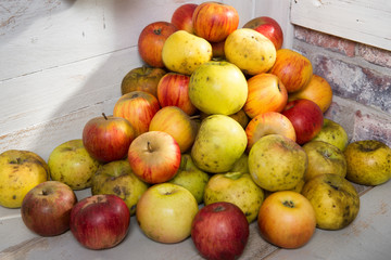 red and yellow organic apples on wooden table