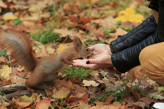 รูปภาพGenerosity – เลือกดูภาพถ่ายสต็อก เวกเตอร์ และวิดีโอ63,472 | Adobe ...