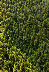 Sete Cidades landscape, Sao Miguel Island, Azores, Europe