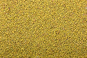 Textures of raw lentils. Yield of lentils. A sample of green lentils.
