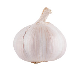 Garlic isolated on white background