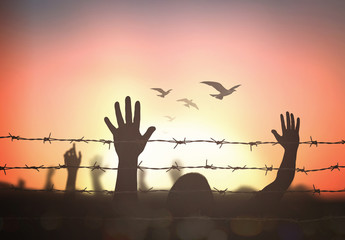International migrants day concept: Silhouette refugee hands raising and barbed wire on autumn sunset background.