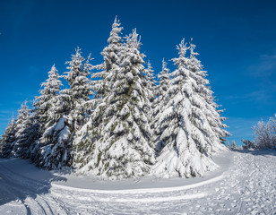 Wintermärchen im Erzgebirge