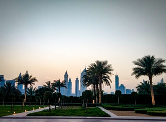 Obraz premium Dubai city behind the palms