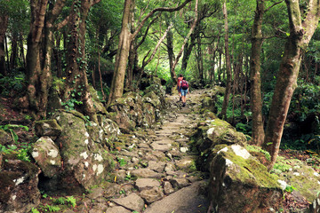 Pozo da Alagoinha, also known as Pozo Ribeira do Ferreiro, Azores, Portugal, Europe